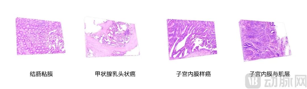 3cbd5ea27c0bc5f1a52e455a19443756.jpg