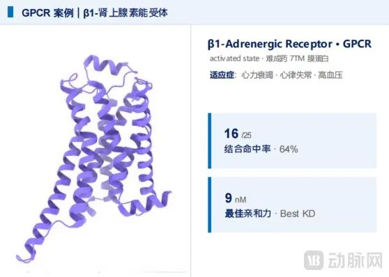 GPCR案例:β1-肾上腺素能受体.png