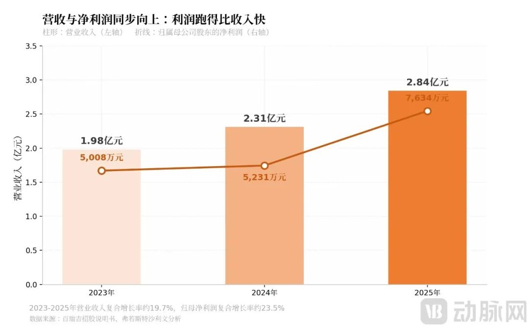 01_营收与净利润.png