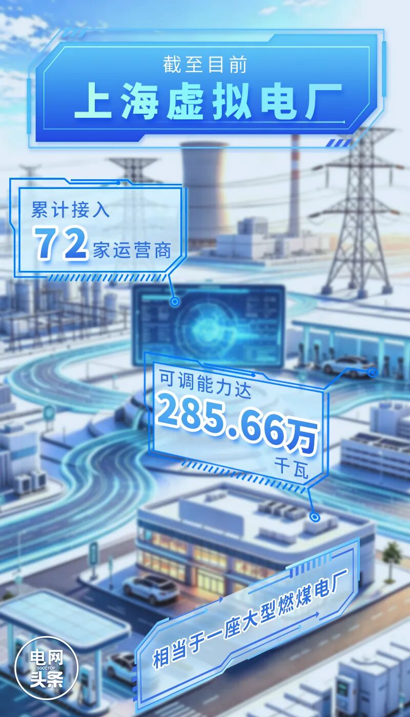 郑欣月-虚拟电厂-1.jpg